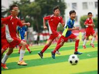 纽卡斯尔联vs赫尔城直播_纽卡斯尔联vs赫尔城直播免费观看无弹窗_纽卡斯尔联vs赫尔城直播高清流畅