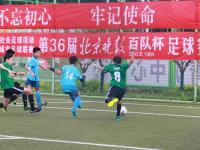 意大利VS比利时直播_意大利VS比利时低延迟流畅直播_意大利VS比利时直播数据实时更新